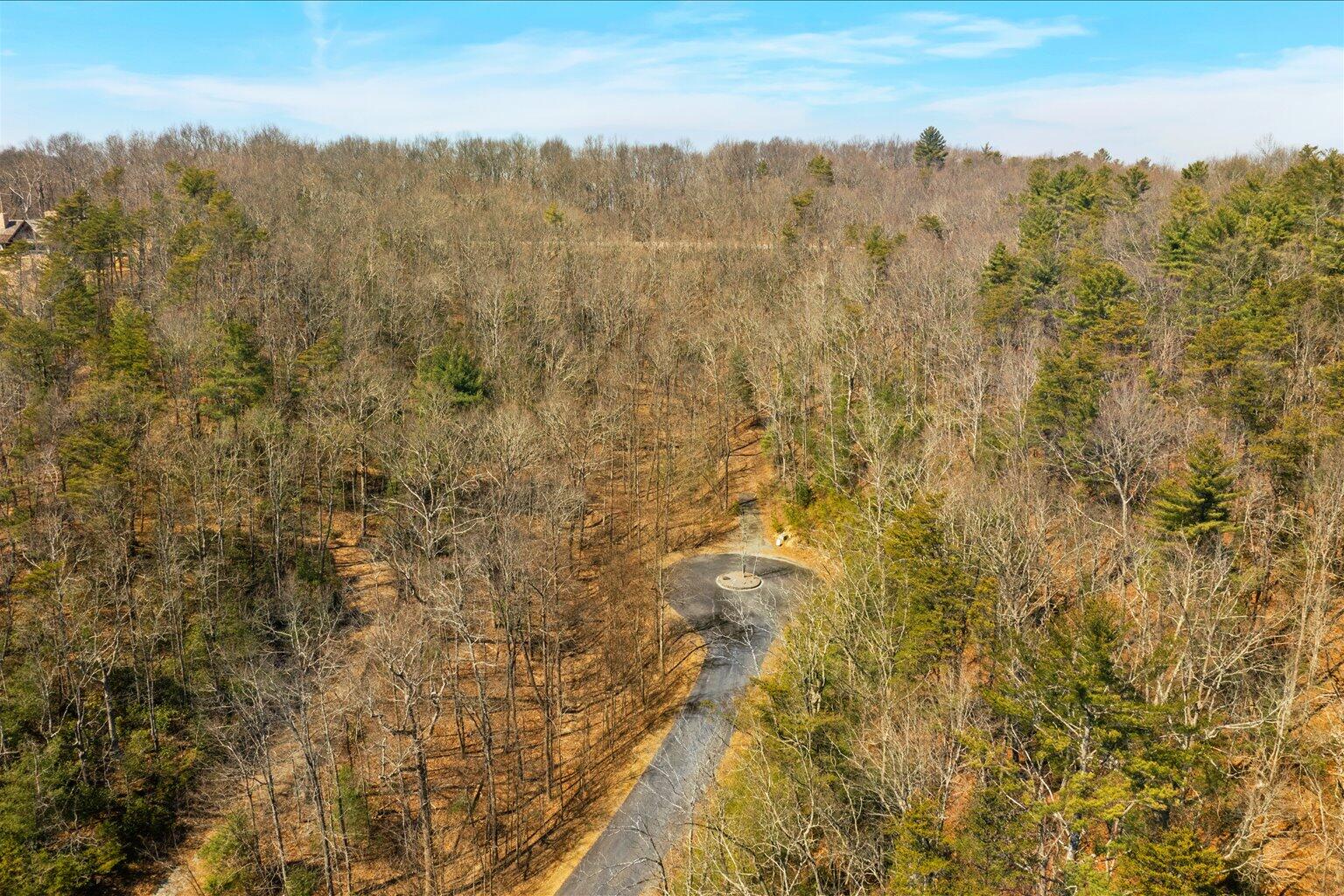 Lot 16/17 Summit Pass, Chatsworth, Georgia image 16