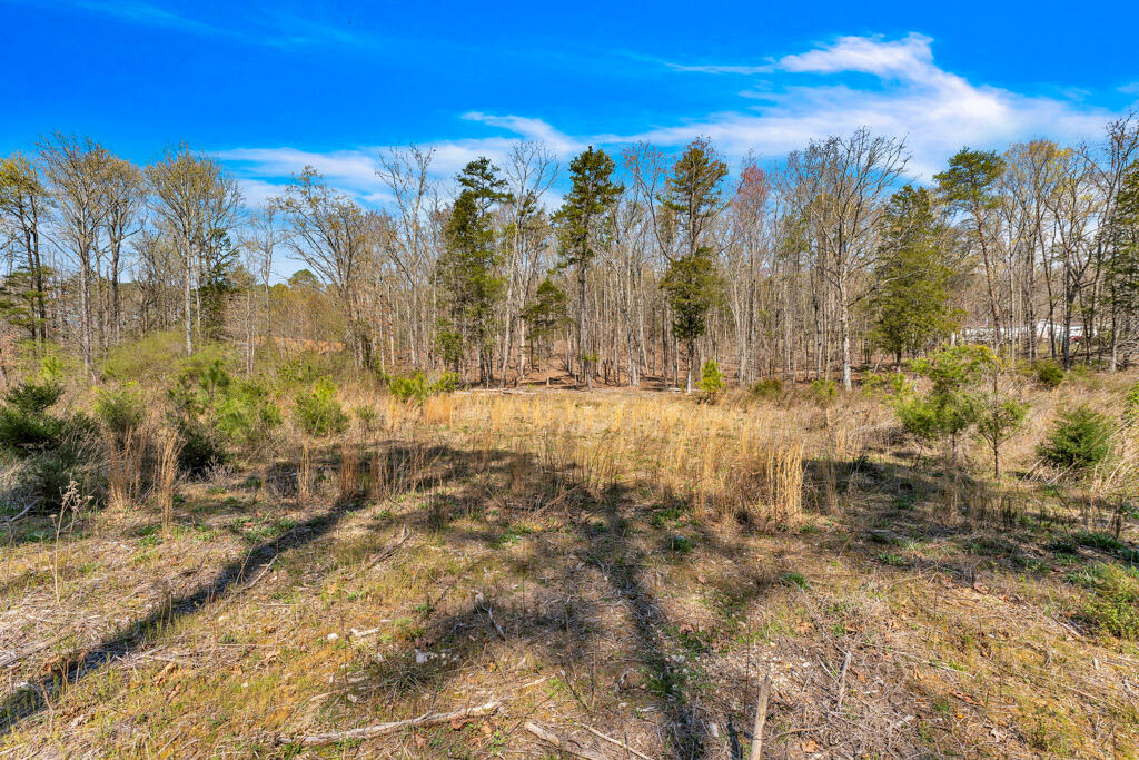 00 Frontage Road, Cleveland, Tennessee image 6