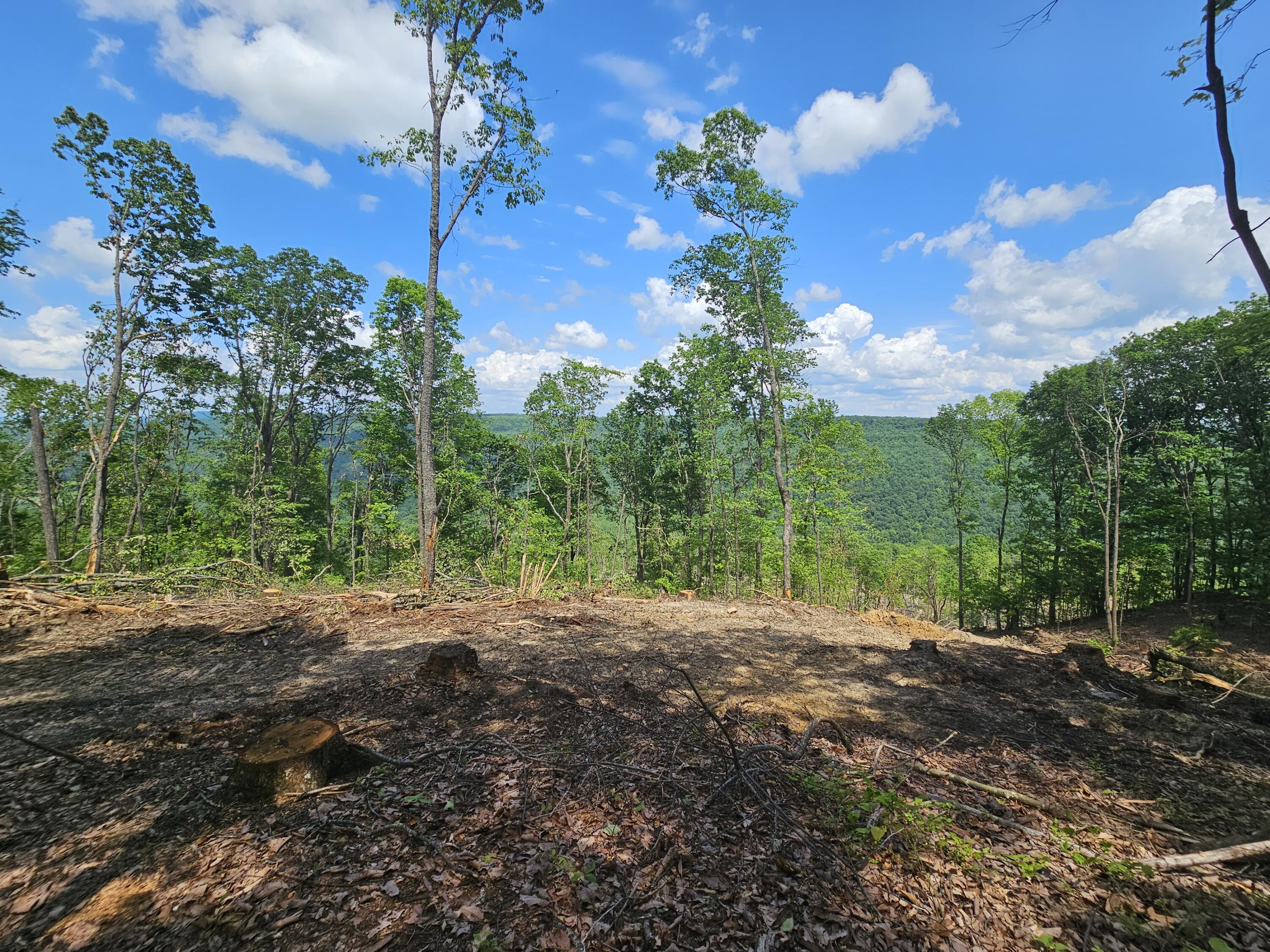 11 Higgenbottom Turnpike #11, Altamont, Tennessee image 2
