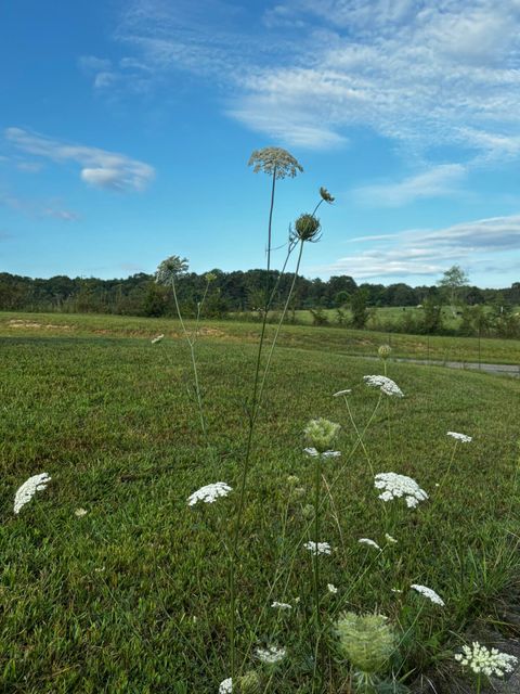 Tiny photo for 171 Fieldstone Lane, Pikeville, TN 37367 (MLS # 1527829)