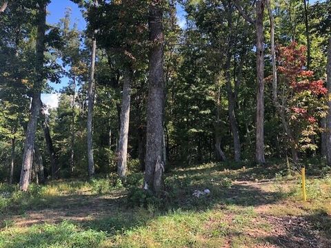 Tiny photo for 418 Brow Wood Lane, Lookout Mountain, GA 30750 (MLS # 1505098)