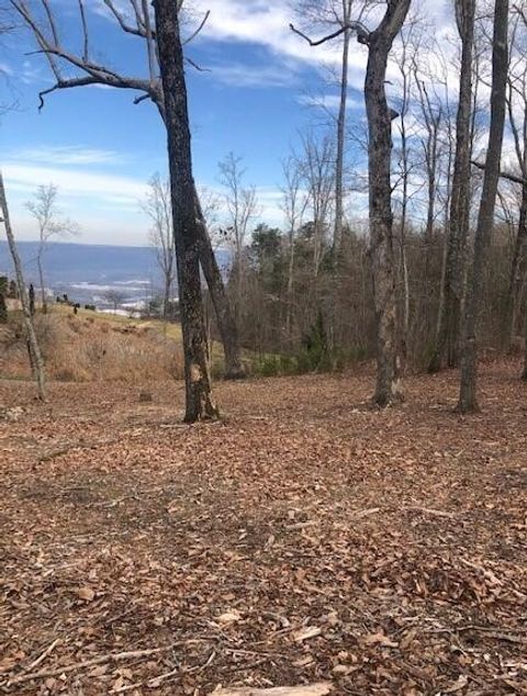 Tiny photo for 418 Brow Wood Lane, Lookout Mountain, GA 30750 (MLS # 1505098)