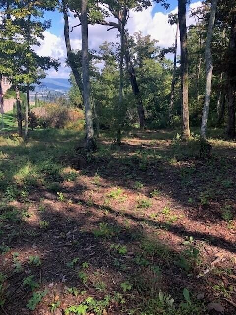 Tiny photo for 418 Brow Wood Lane, Lookout Mountain, GA 30750 (MLS # 1505098)