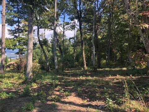 Tiny photo for 418 Brow Wood Lane, Lookout Mountain, GA 30750 (MLS # 1505098)