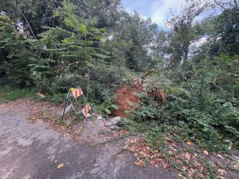 Tiny photo for 248 Buena Vista Drive, Chattanooga, TN 37404 (MLS # 1530608)