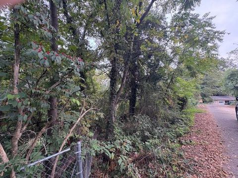 Tiny photo for 248 Buena Vista Drive, Chattanooga, TN 37404 (MLS # 1530608)