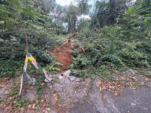 Tiny photo for 248 Buena Vista Drive, Chattanooga, TN 37404 (MLS # 1530608)