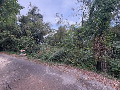 Tiny photo for 248 Buena Vista Drive, Chattanooga, TN 37404 (MLS # 1530608)