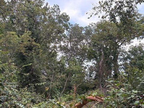 248 Buena Vista Drive Chattanooga TN 37404