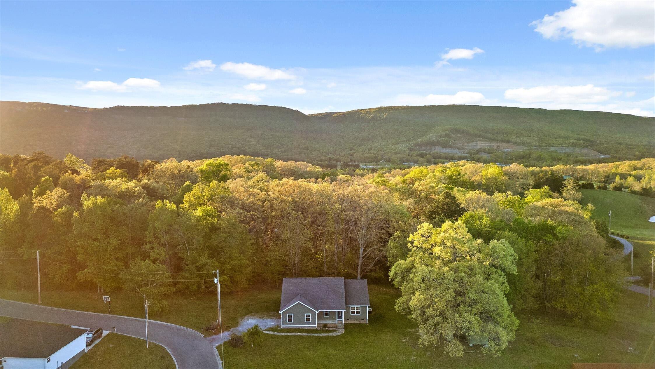 80 Oak Meadows Drive, Dunlap, Tennessee image 5