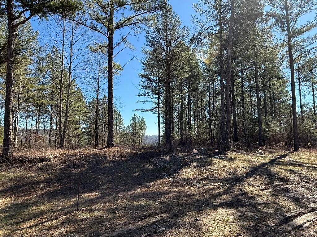 1375 Split Rail Way, Guild, Tennessee image 1