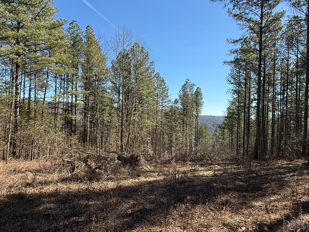 1375 Split Rail Way, Guild, Tennessee image 6