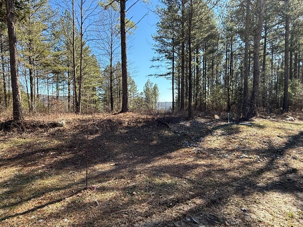 1375 Split Rail Way, Guild, Tennessee image 5