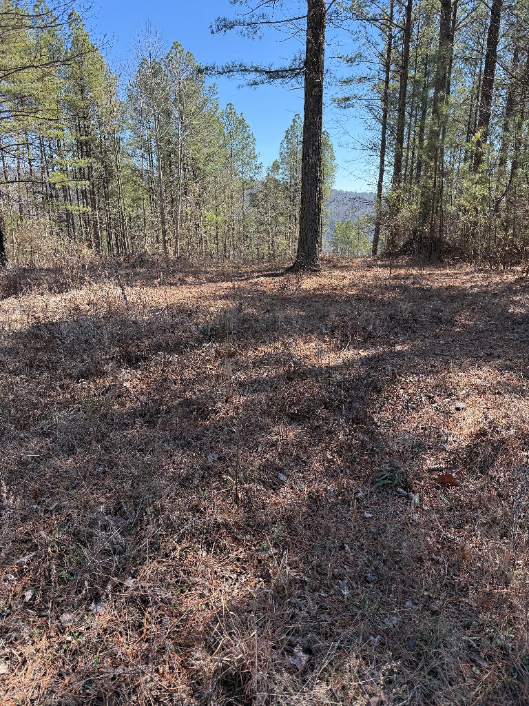 1375 Split Rail Way, Guild, Tennessee image 2