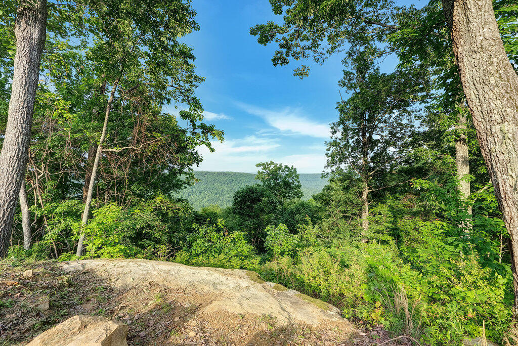 3155 Pigeon Spur Road, Tracy City, Tennessee image 29