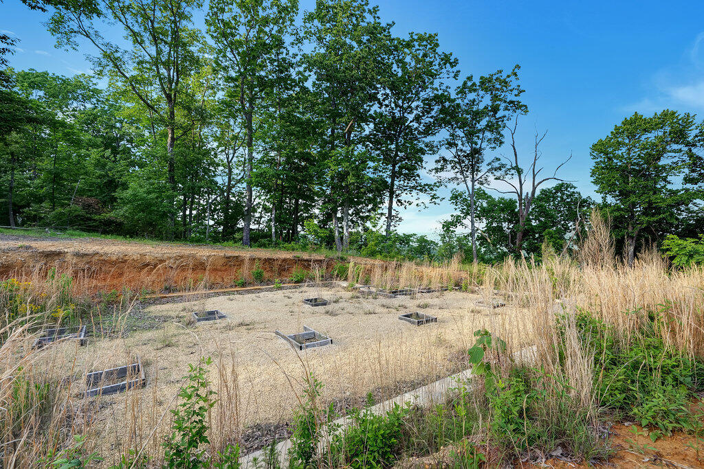 3155 Pigeon Spur Road, Tracy City, Tennessee image 28