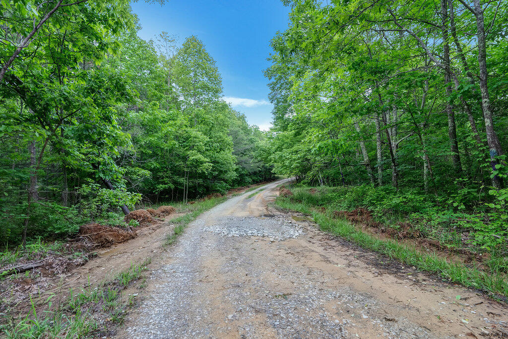 3155 Pigeon Spur Road, Tracy City, Tennessee image 7
