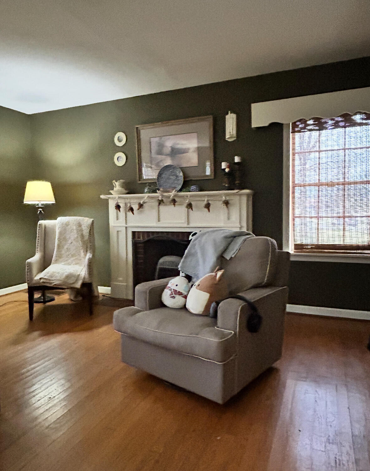 602 Cove Road, Chickamauga, Georgia image 11