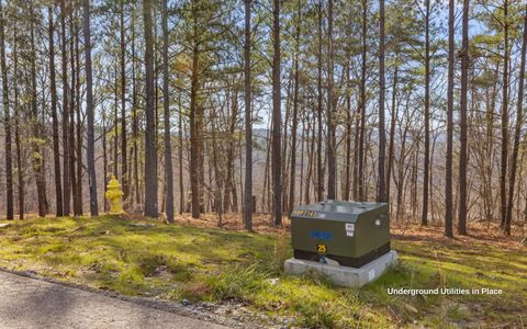 Tiny photo for Lot 1179 Split Rail Way, Guild, TN 37340 (MLS # 1525420)