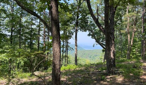 Tiny photo for Lot 1179 Split Rail Way, Guild, TN 37340 (MLS # 1525420)