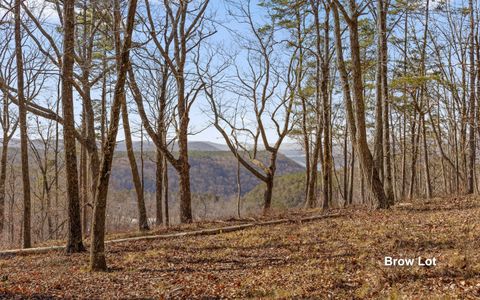 Tiny photo for Lot 1179 Split Rail Way, Guild, TN 37340 (MLS # 1525420)