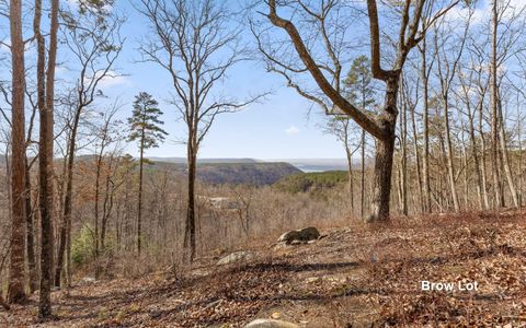 Tiny photo for Lot 1179 Split Rail Way, Guild, TN 37340 (MLS # 1525420)