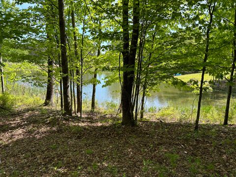 Photo of 250 Bear Trace Drive, Jasper, TN 37347 (MLS # 1527030)