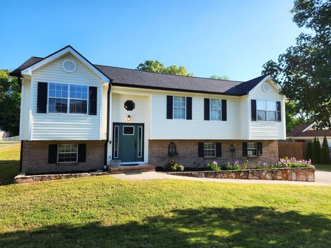 Photo of 390 Spring Meadows Drive, Ringgold, GA 30736 (MLS # 1532904)