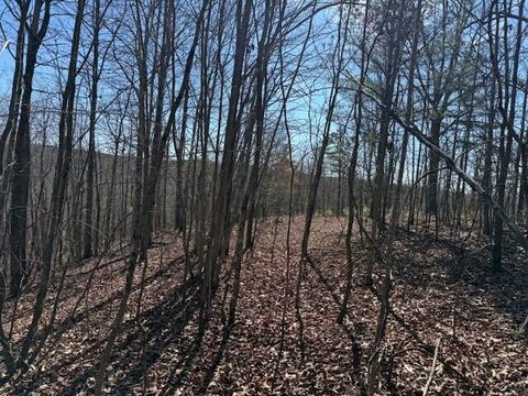 Vacant Land For Sale - TRACT 4 South Pittsburg Mountain<br/> Marion County, South Pittsburg, TN 37380