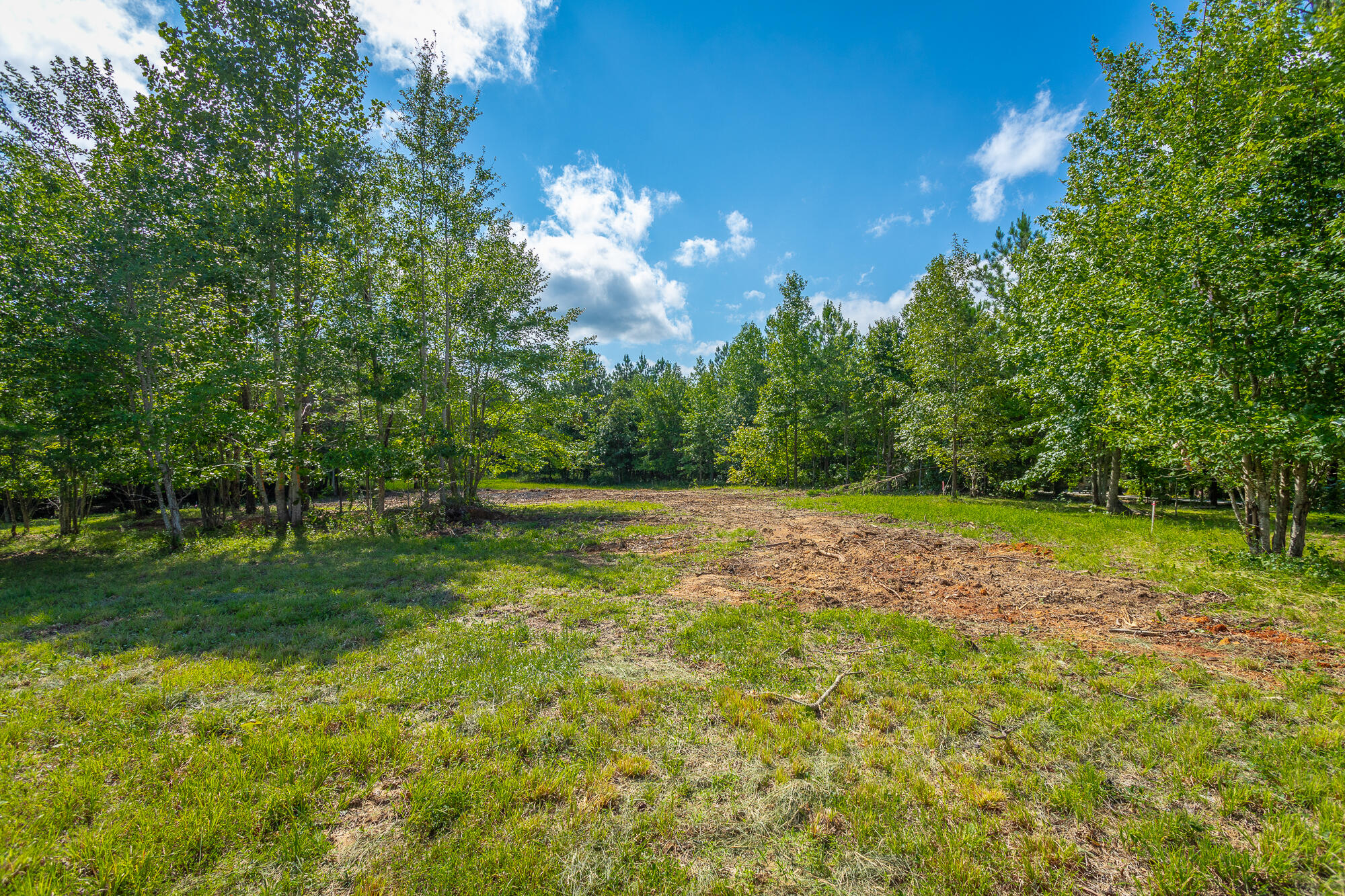 1455 River Bluffs Drive #RB156, Jasper, Tennessee image 23
