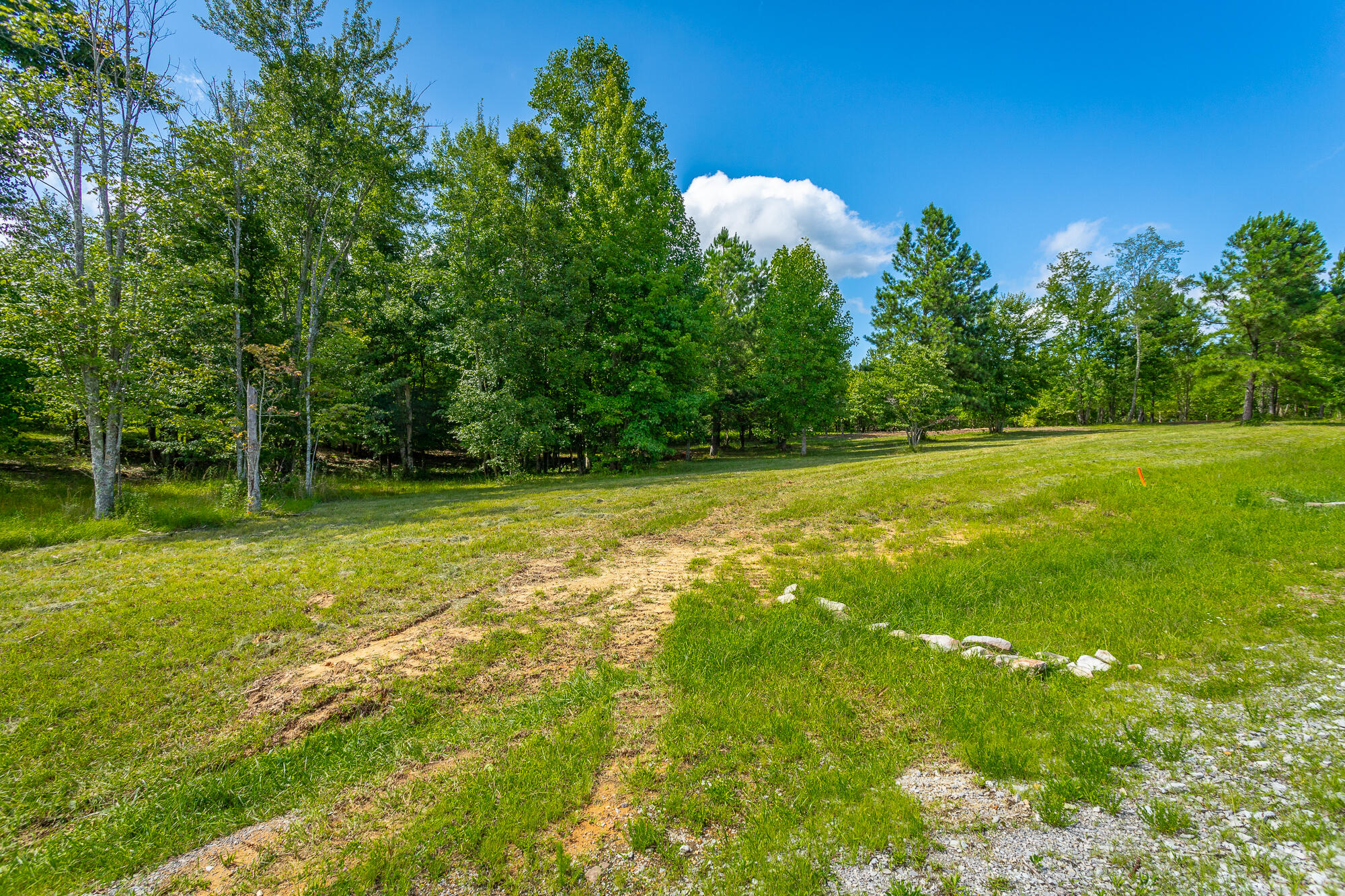 1455 River Bluffs Drive #RB156, Jasper, Tennessee image 7