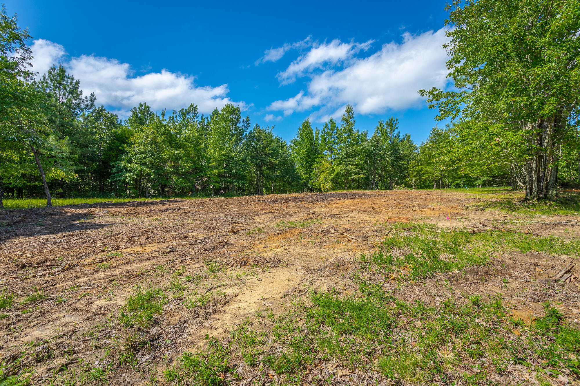 1455 River Bluffs Drive #RB156, Jasper, Tennessee image 32