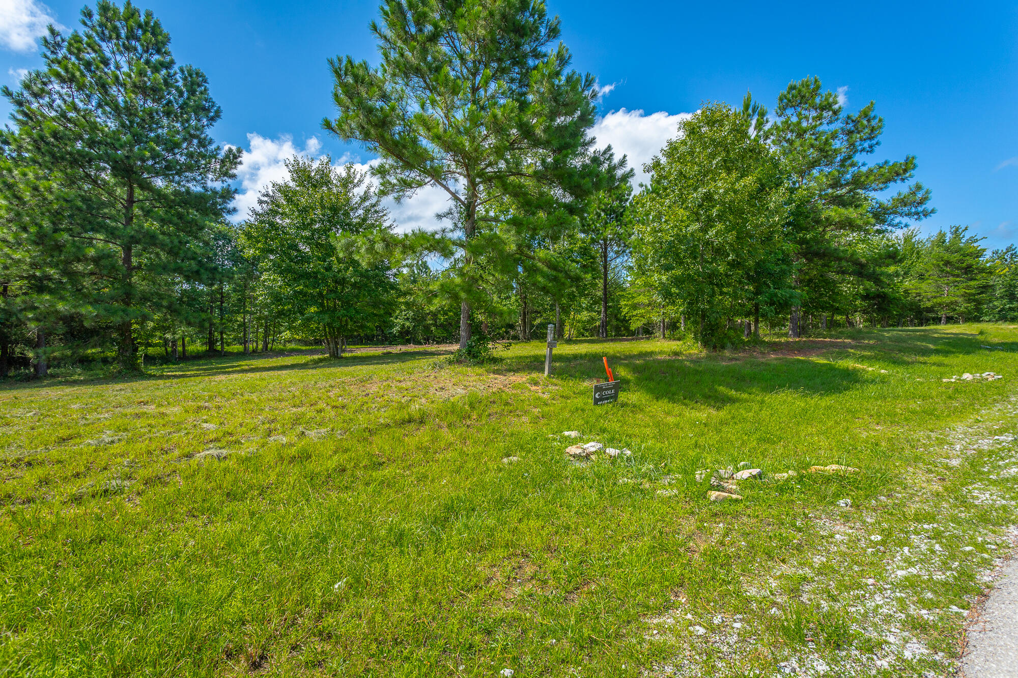 1455 River Bluffs Drive #RB156, Jasper, Tennessee image 13