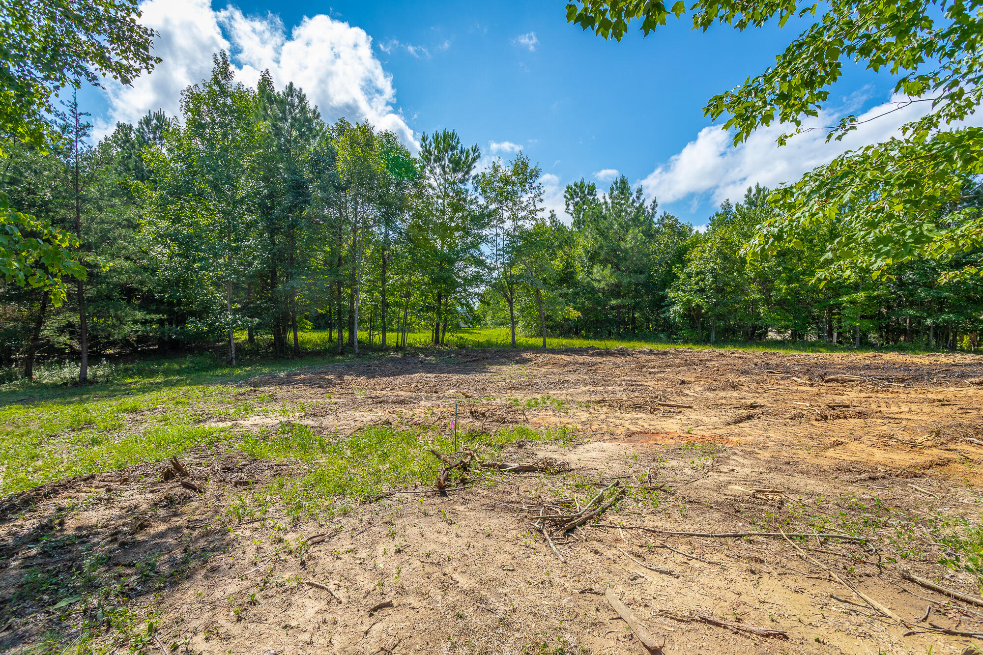 1455 River Bluffs Drive #RB156, Jasper, Tennessee image 31