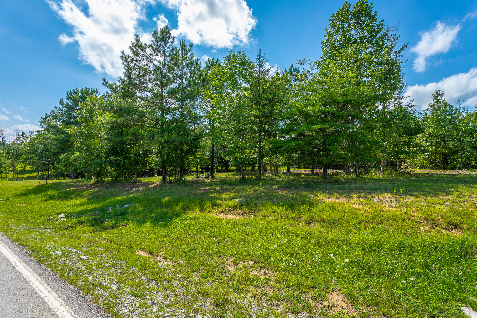 1455 River Bluffs Drive #RB156, Jasper, Tennessee image 22