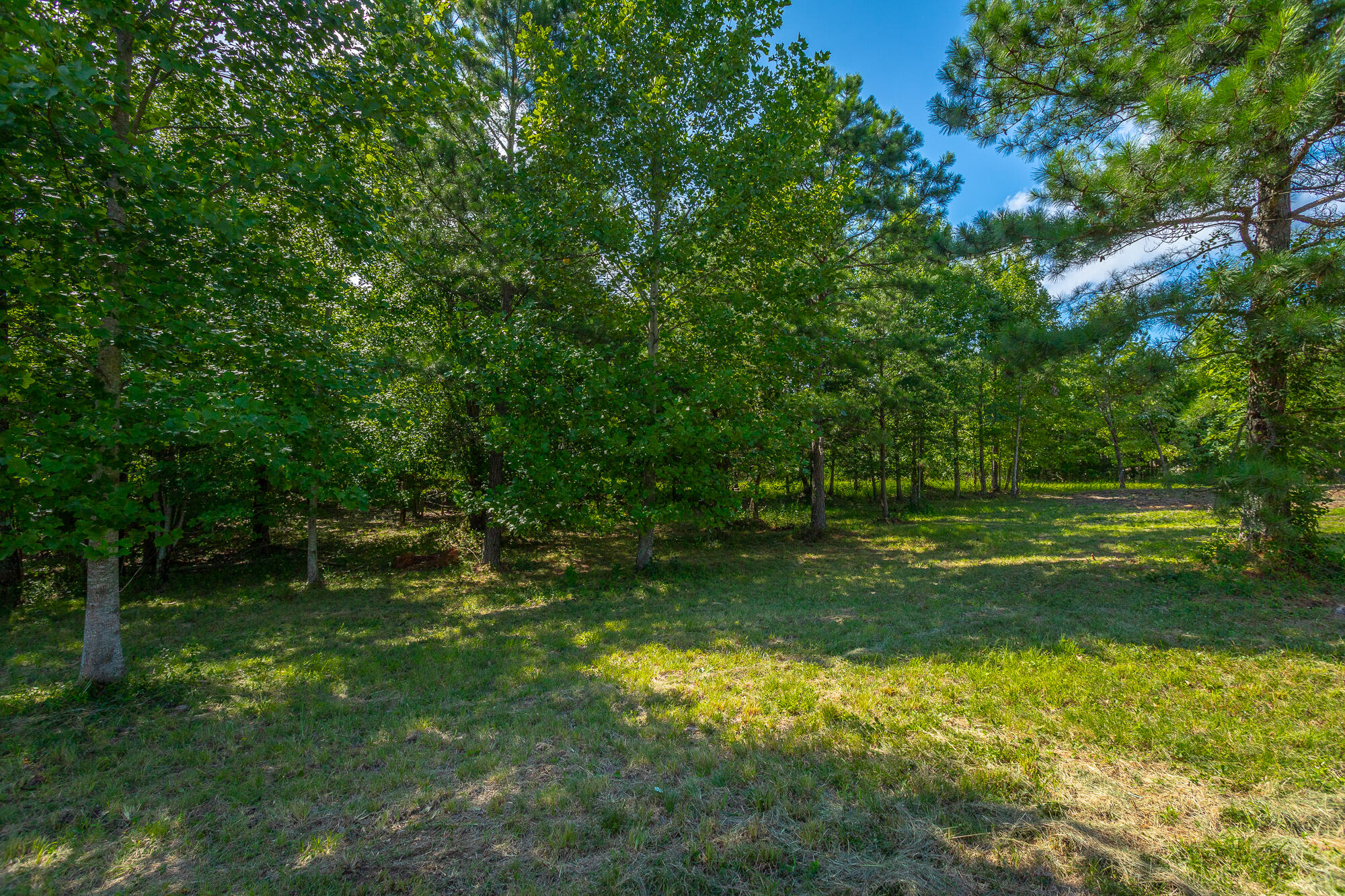 1455 River Bluffs Drive #RB156, Jasper, Tennessee image 35