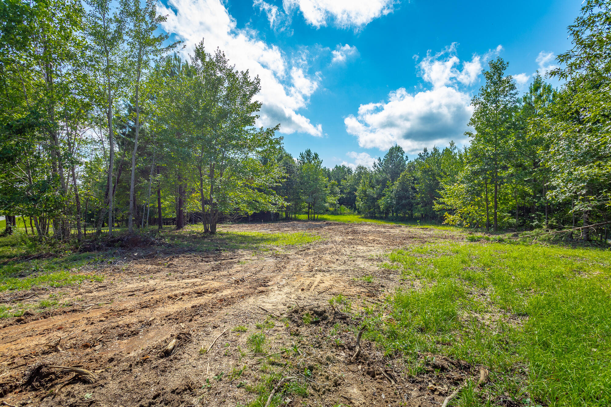 1455 River Bluffs Drive #RB156, Jasper, Tennessee image 3