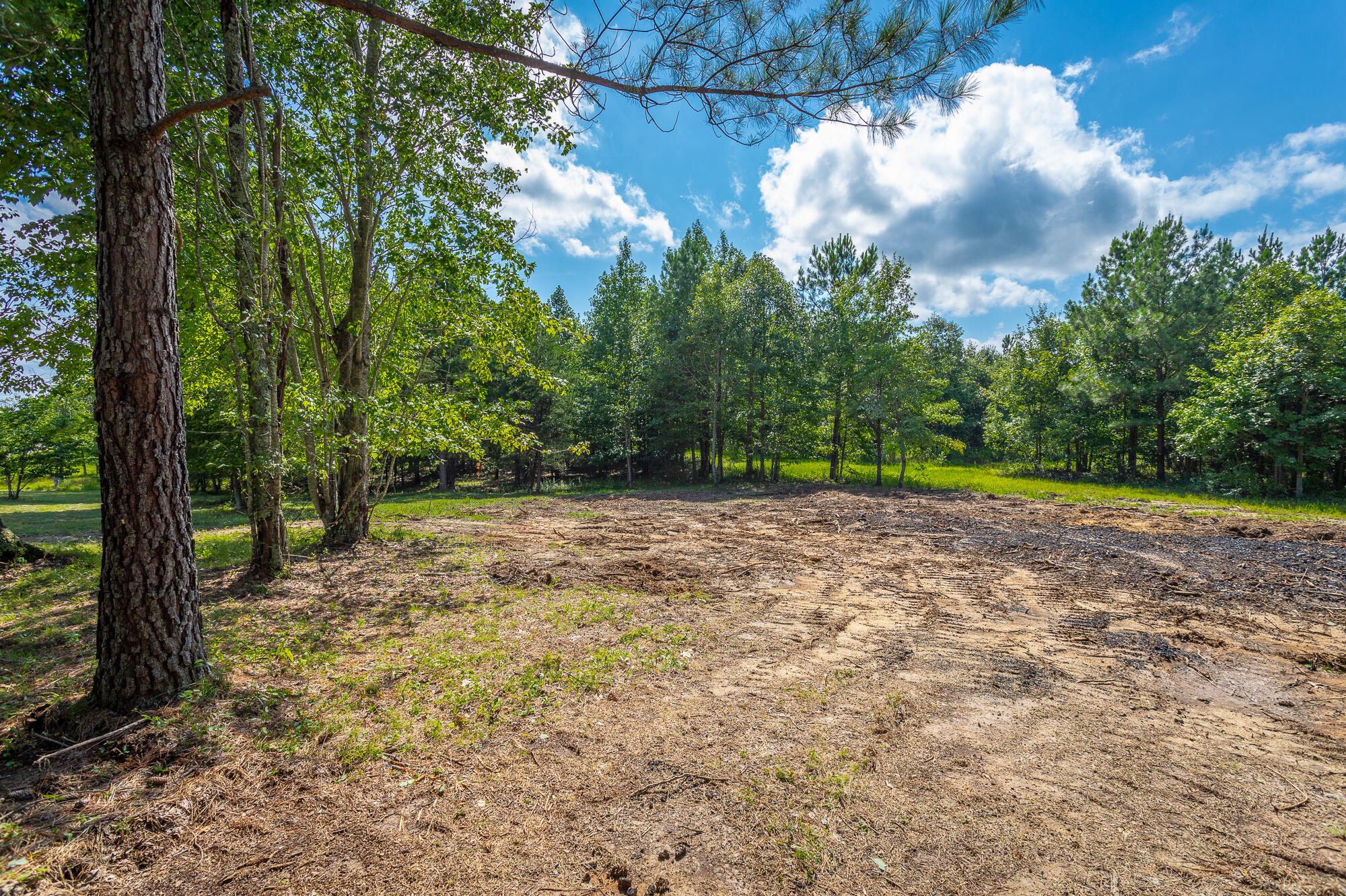 1455 River Bluffs Drive #RB156, Jasper, Tennessee image 28