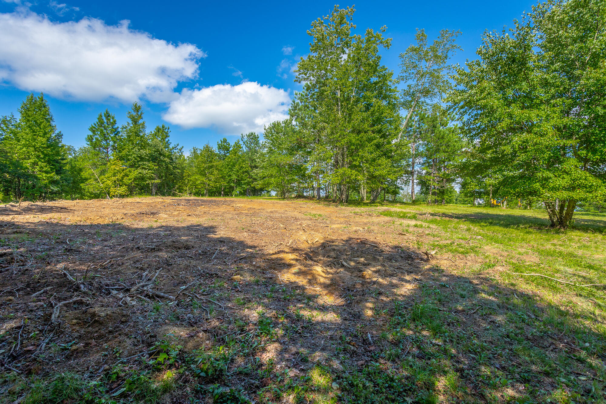 1455 River Bluffs Drive #RB156, Jasper, Tennessee image 33