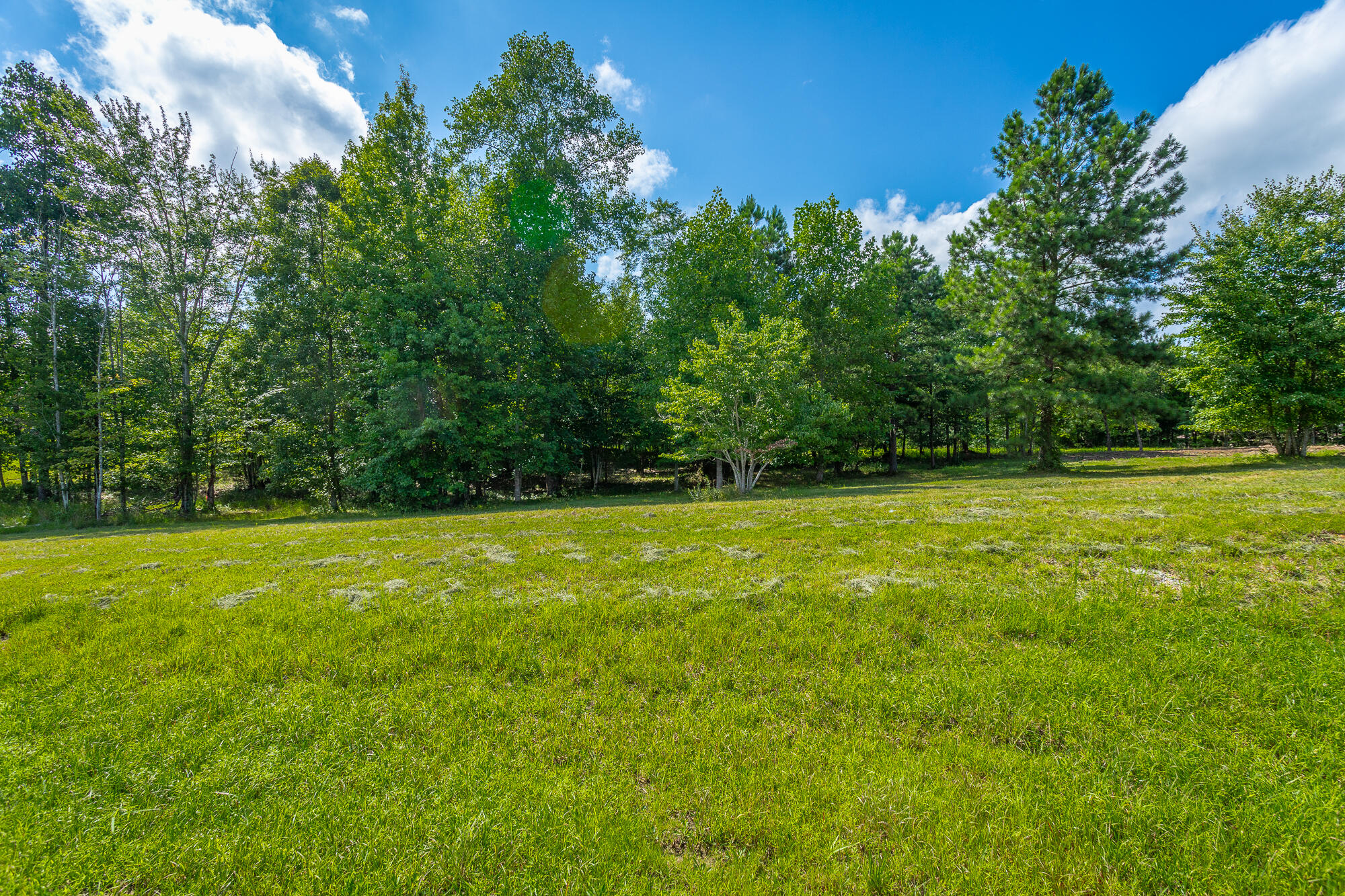 1455 River Bluffs Drive #RB156, Jasper, Tennessee image 10