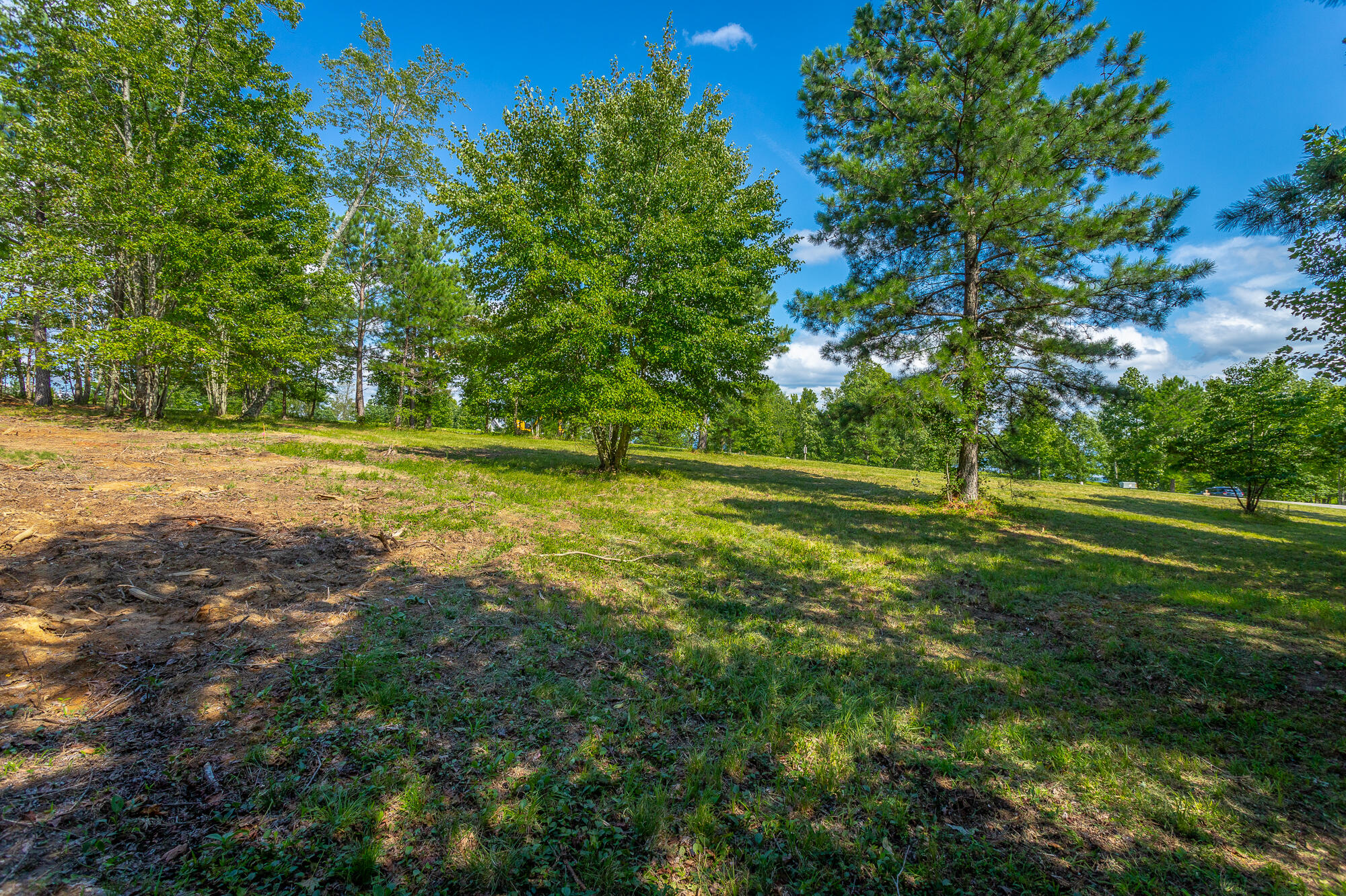 1455 River Bluffs Drive #RB156, Jasper, Tennessee image 34