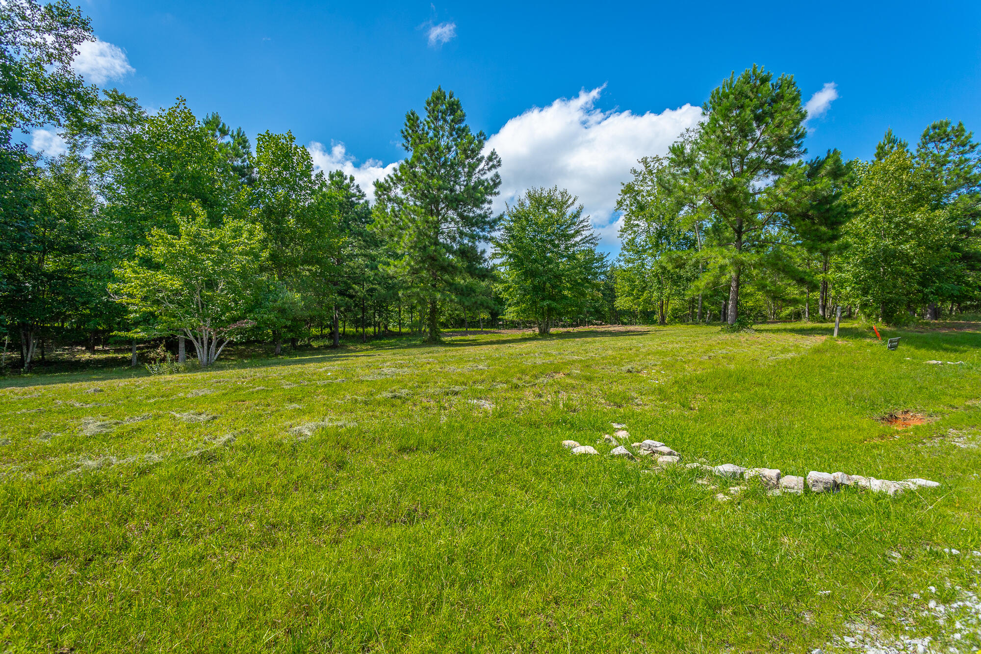 1455 River Bluffs Drive #RB156, Jasper, Tennessee image 9