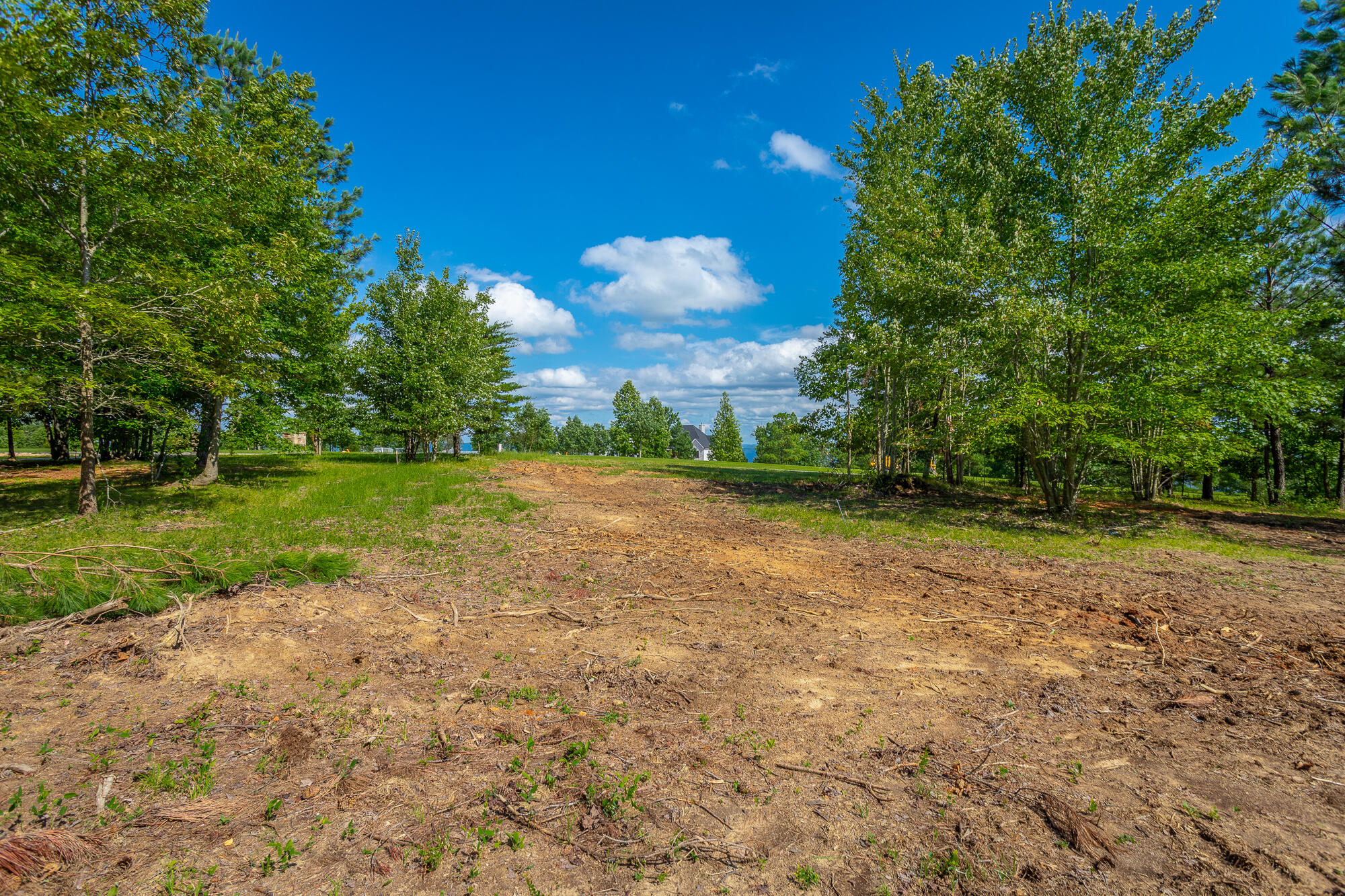 1455 River Bluffs Drive #RB156, Jasper, Tennessee image 27