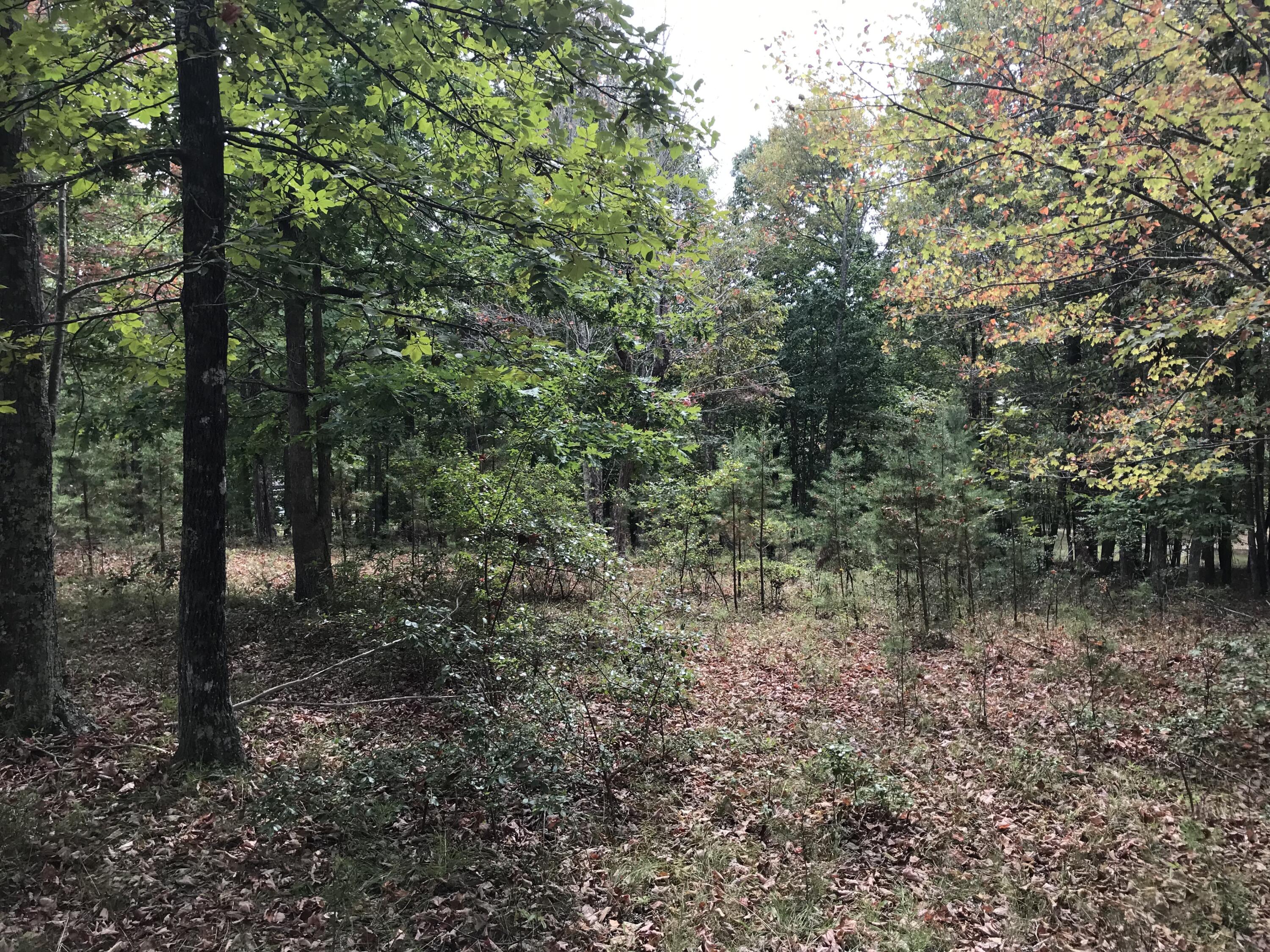 103-B Bluffview Drive #103-B, Dunlap, Tennessee image 17
