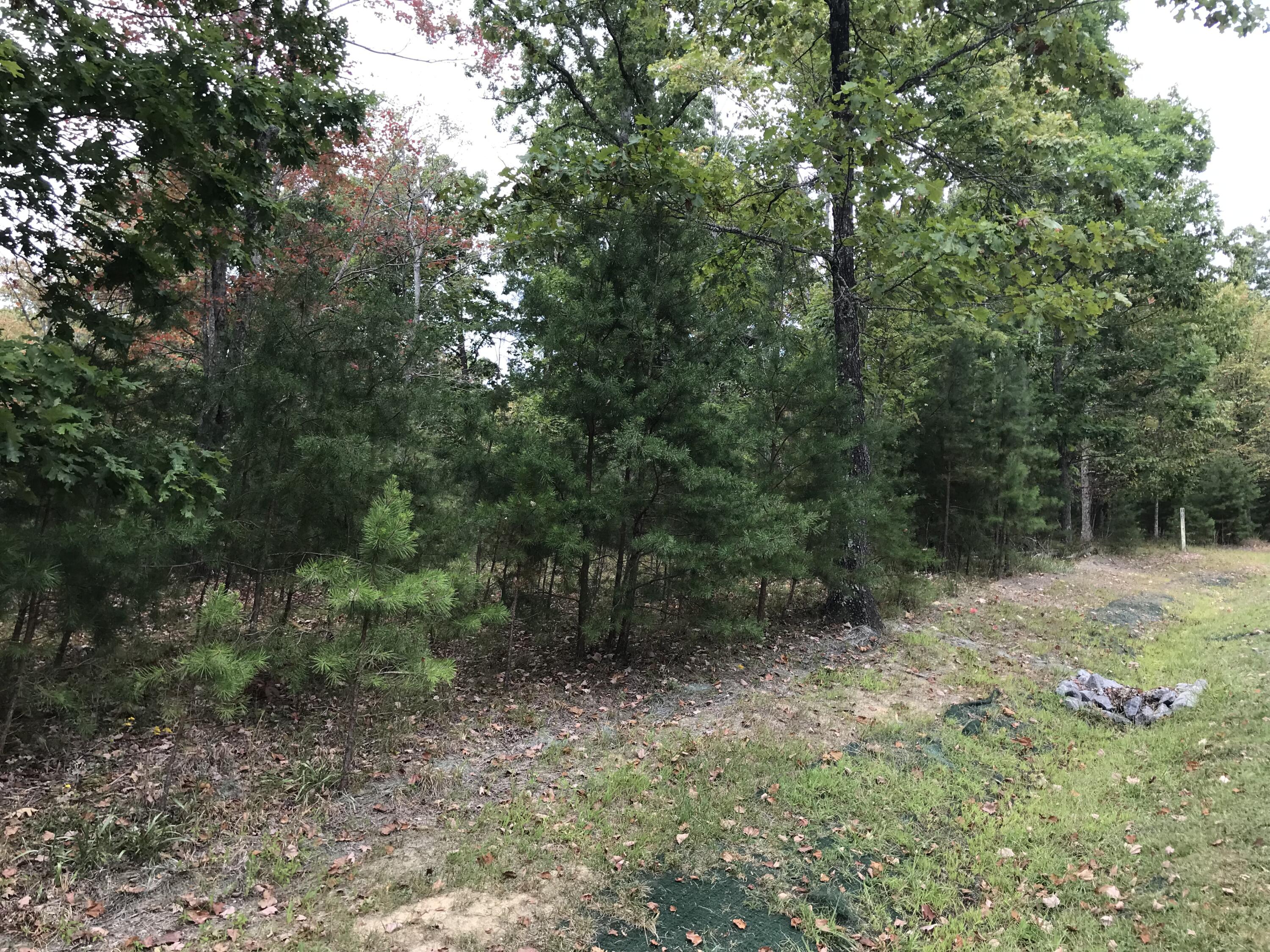 103-B Bluffview Drive #103-B, Dunlap, Tennessee image 22