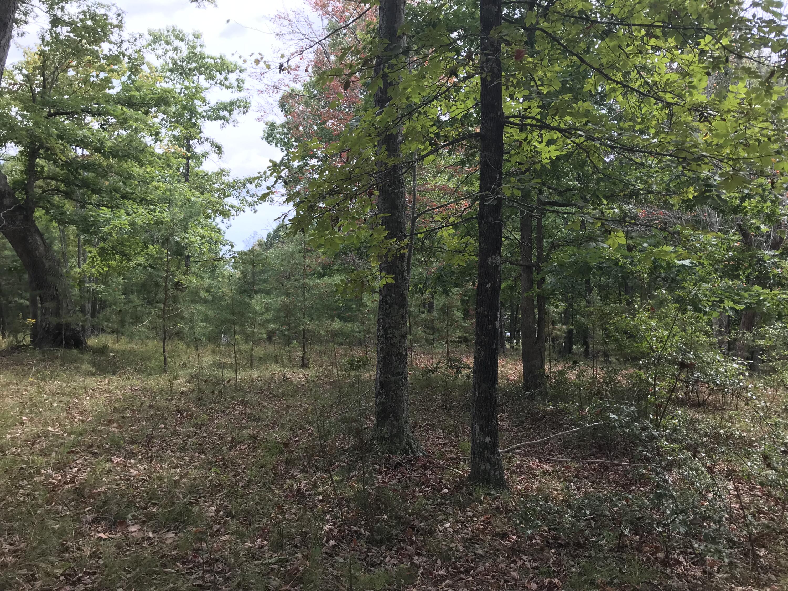 103-B Bluffview Drive #103-B, Dunlap, Tennessee image 7