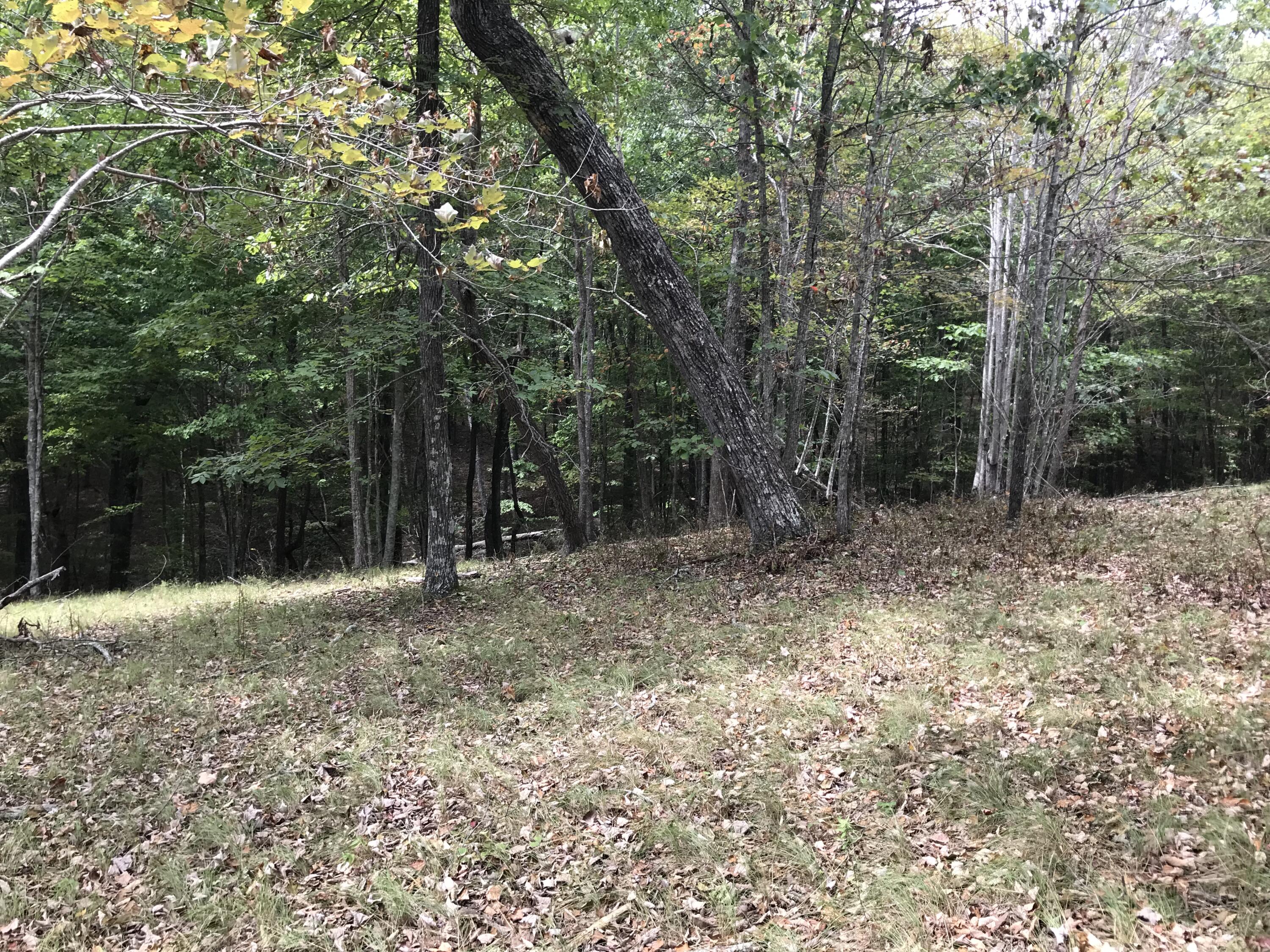 103-B Bluffview Drive #103-B, Dunlap, Tennessee image 16