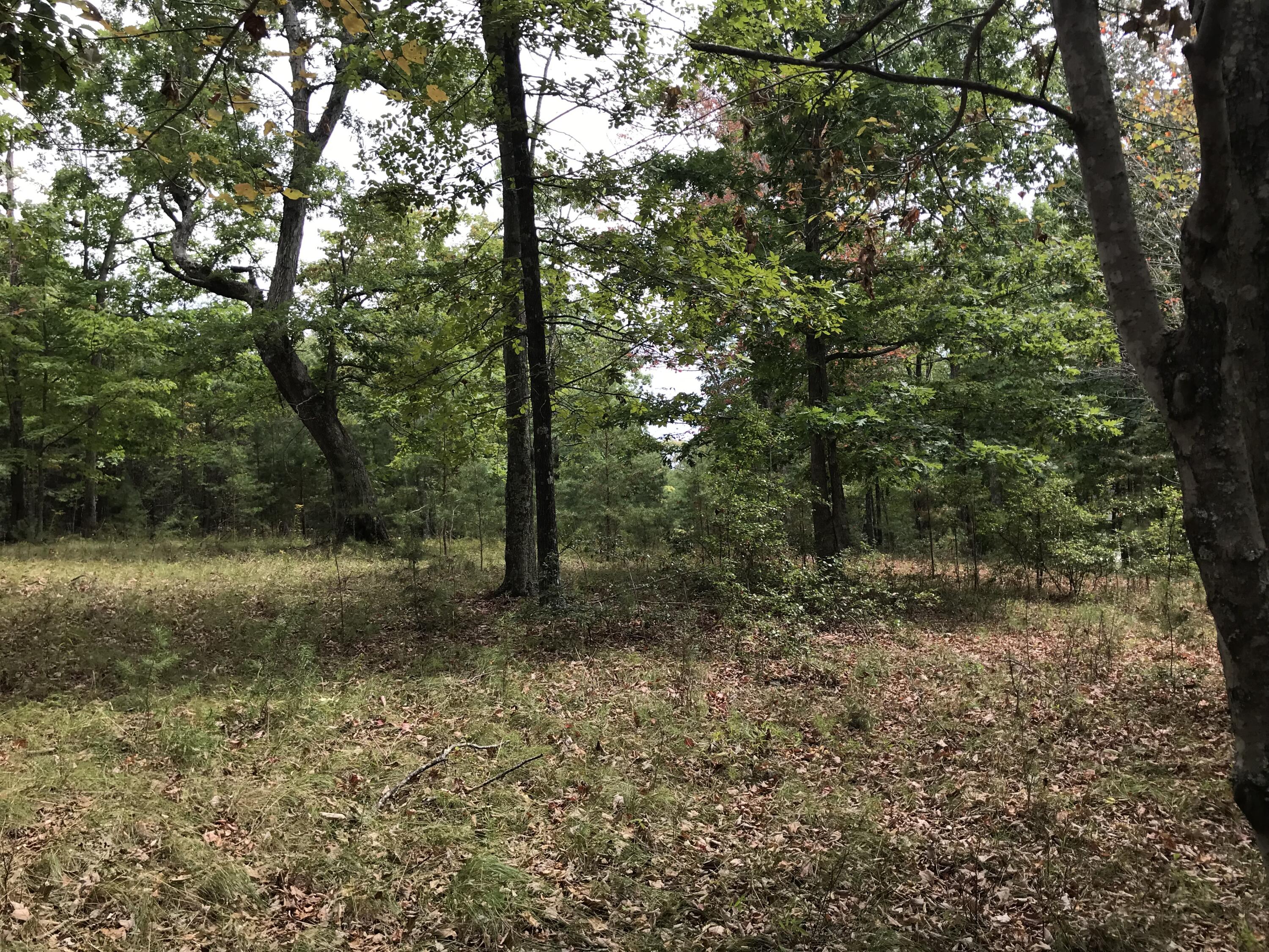 103-B Bluffview Drive #103-B, Dunlap, Tennessee image 10