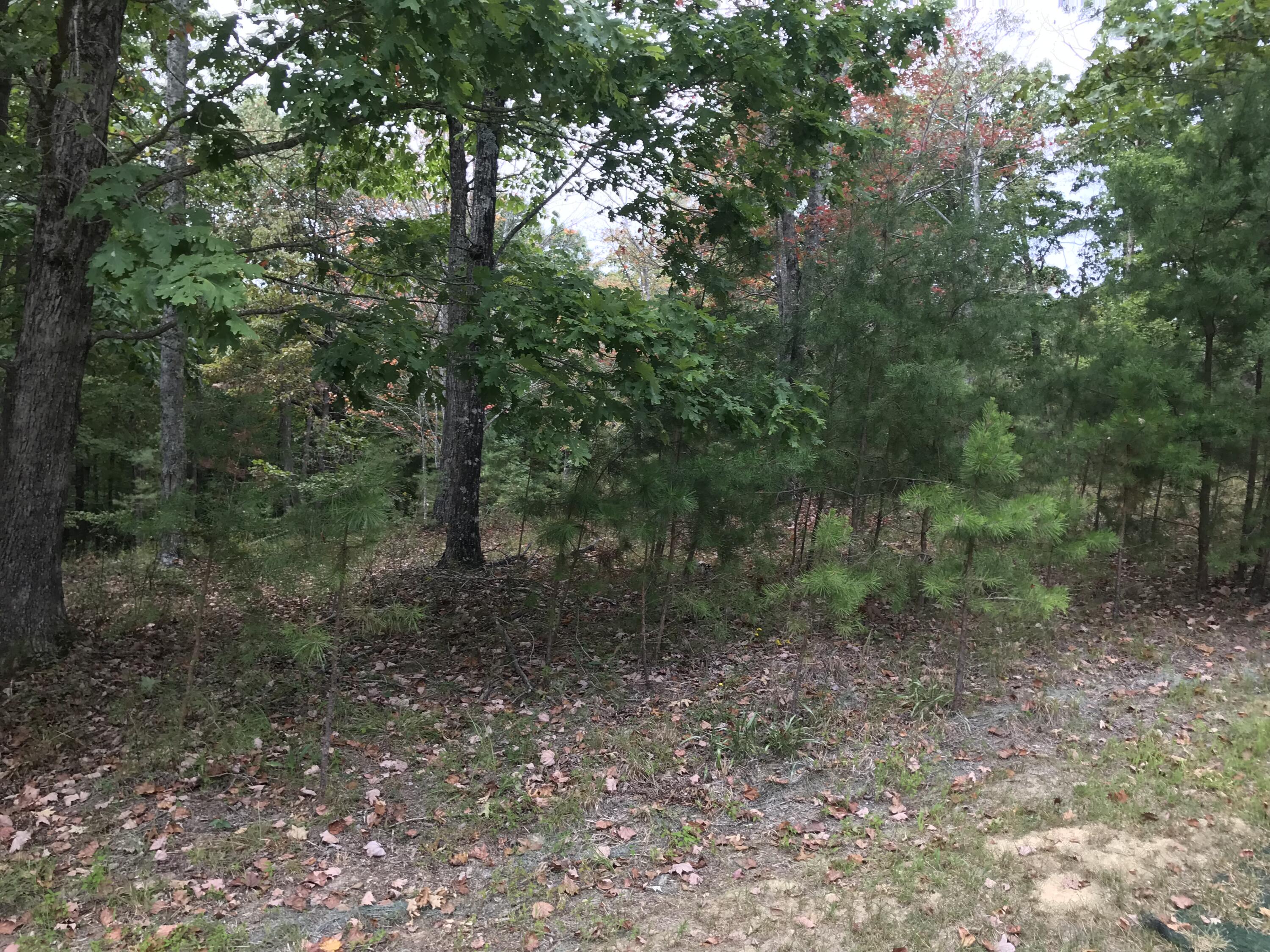 103-B Bluffview Drive #103-B, Dunlap, Tennessee image 20