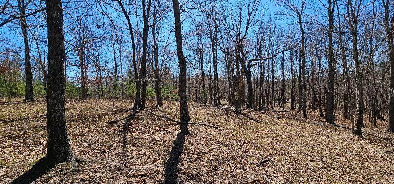103-B Bluffview Drive #103-B, Dunlap, Tennessee image 26